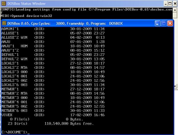 DosBox SAmple window